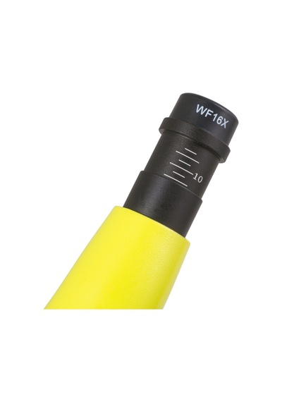 Raınbow 50l Plus Lime/yeşil Limon Mikroskop