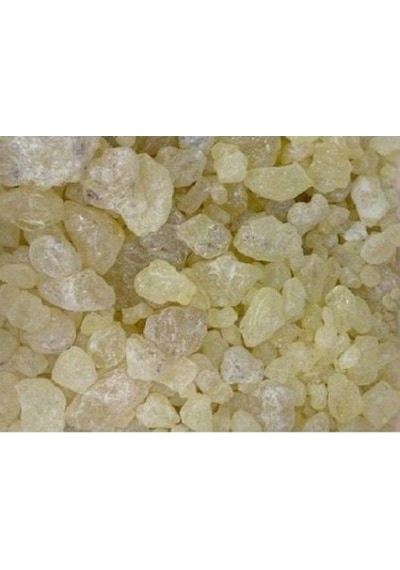 Aktar Store Sandaloz Sakızı 1 KG