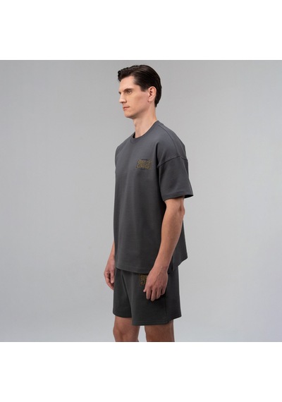 Everlast Authentic Boxing 2.0 Oversize Gri Erkek T-shirt Tm0156 Gri