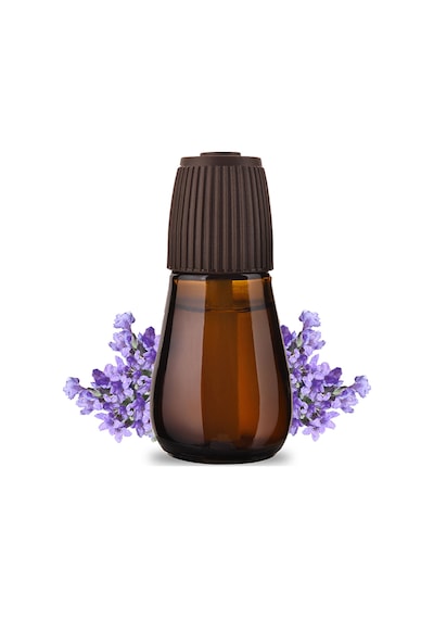 Air Wick Essential Mist Otomatik Hava Tazeleyici Kit Lavanta Esintisi