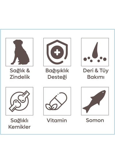 Zemus Animal World Derma Care Somonlu Ve Pirinçli Köpek Maması 15kg