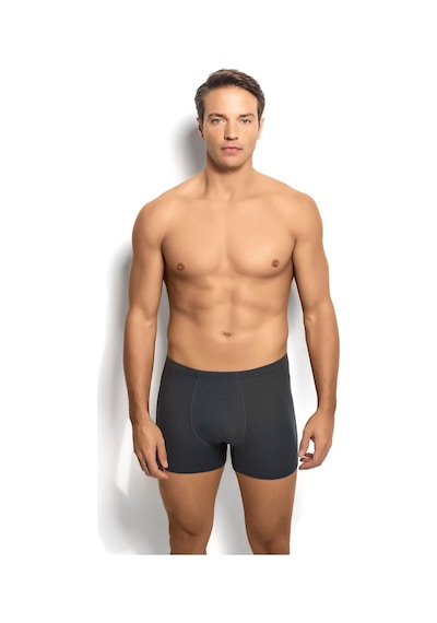 Jiber Erkek Bambu Füme Boxer 278