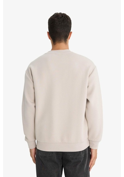 Defacto Relax Fit Bisiklet Yaka Sweatshirt E9536ax25aubg766 Bej