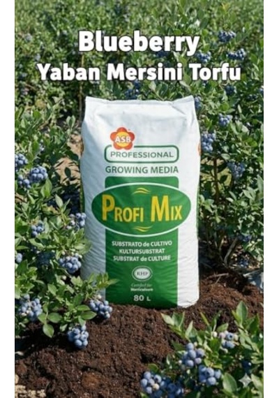 Profi Mix 80 Lt Profimix Ithal Blueberry Yaban Mersini Torfu - Ph 3,5-4,2 Asidik Toprak 0-40 Mm 0,250