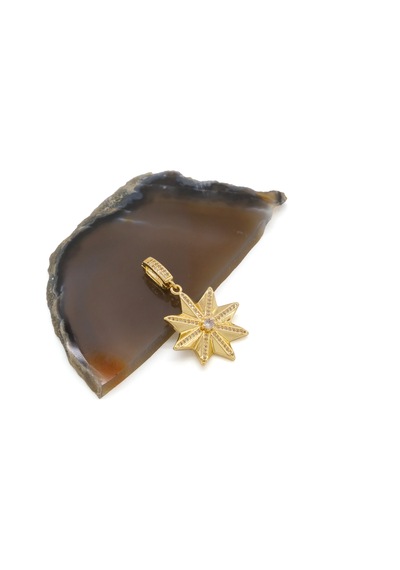 Ferizz Ajda Charm Çelik Altın Kaplama Kadın Yıldız Model-chr-116 Gold