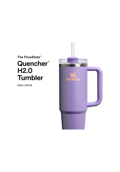 Quencher H2.0 Flowstate Pipetli Termos Bardak 0.89 Litre - Parlak Lila Periwinkle Shimmer Paslanmaz Çelik Çok Renkli Quencher H2.0 Flowstate Pipetli Termos Bardak 0.89 Litre - Parlak Lila Periwinkle Shimmer Paslanmaz Çelik Çok Renkli