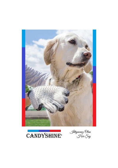 Candyshine Kedi Köpek Tüy Toplayıcı Masaj Yapıcı Tarama Eldiveni Mavi