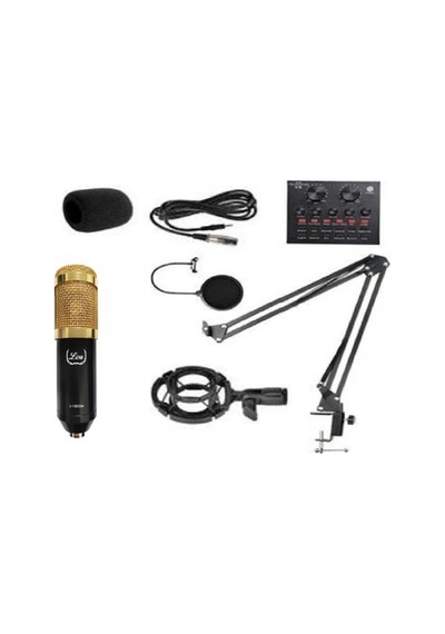 Lea L-1800A Ses Kartlı Canlı Yayın ve Stüdyo Mikrofon Seti