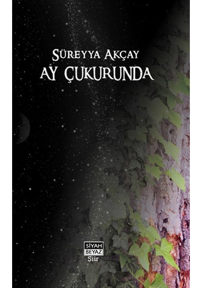 Ay Çukurunda (imzalı)
