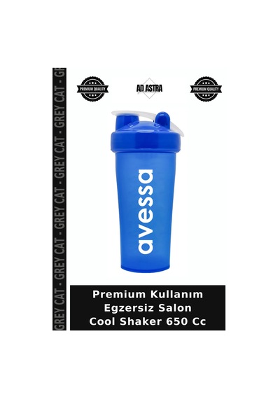 Premium Kullanım Egzersiz Salon Cool Shaker 650 Cc