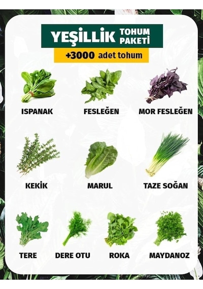 Tohum Dünyam 10 Çeşit Yeşillik Tohum Paketi 3000 Tohum