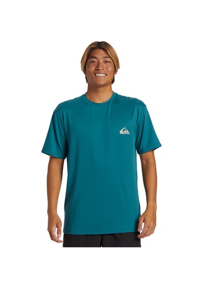 Quiksilver Quıksılver Everyday Surf Tee Ss Bql0 Çok Renkli