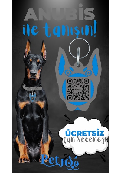 Petjoo 30.Anubis Mavi-Gri Qr'lı Köpek Künyesi