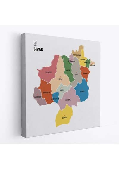 Es10 Özel Tasarım Sivas İli ve İlçeler Haritası Dekoratif Kanvas Tablo 1455 (70 x 70)