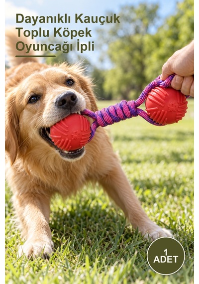 1 Adet Dayanıklı Kauçuk Toplu Köpek Oyuncağı İpli