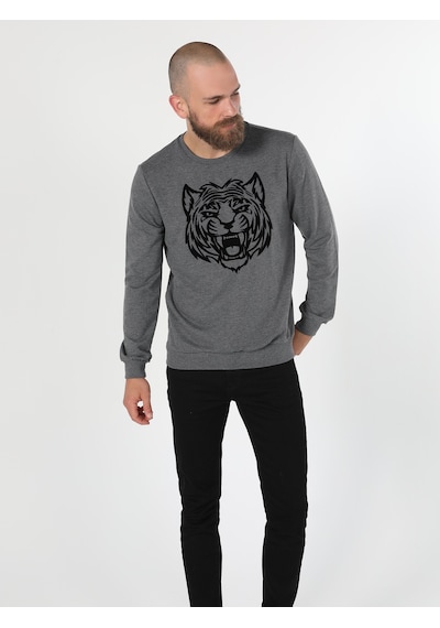 Colin's Colins Regular Fit Baskılı Antrasit Erkek Sweatshirt Antrasit