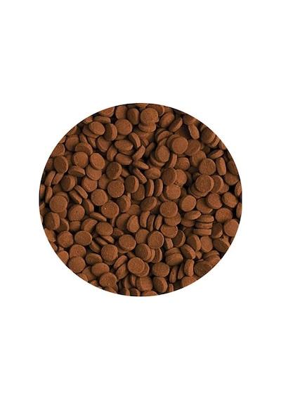 Tropical Carnivore 250gr Kovadan Bölme