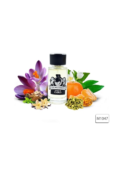 Lion Francesco Scent Of Cairo Erkek Parfüm EDP 50 ML