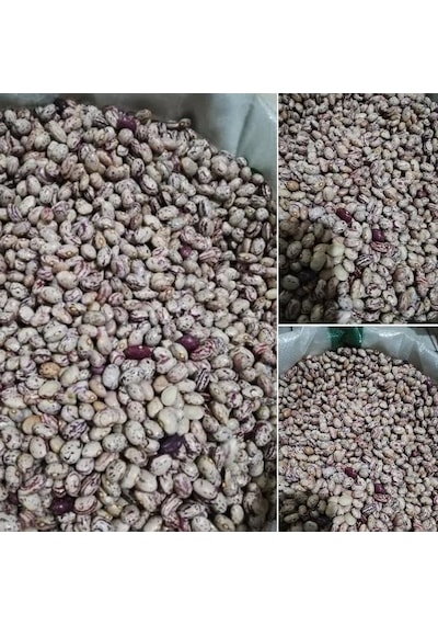Doğal Anadolu Artvin Kara Sırık Barbunya Tohumu 10 Tohum