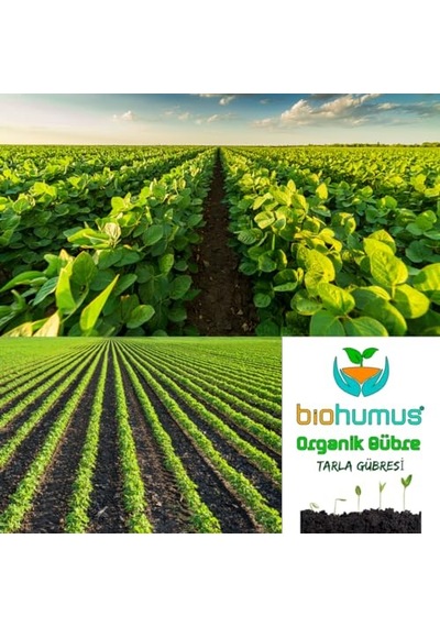 Biohumus Tarla İçin, Organik Gübre, Organik Sertifikalı, Kök Geliştirici, Toprak Düzenleyici, Bitki Besleyici 25 Kg 1 Sku: Smgstk8242544e91