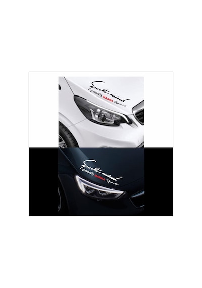 Mıtsubıshı Lancer Sports Mind Far Üstü Oto Sticker (282377623)
