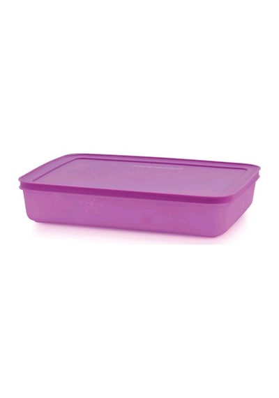 Tupperware Alaska 225 L Lila Buzdolabı Saklama Kabı Esc Çok Renkli