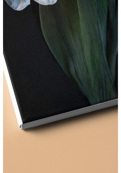 Webstyle Sayılarla Boyama Seti Kasnaklı Nilüfer 60 X 75 Cm