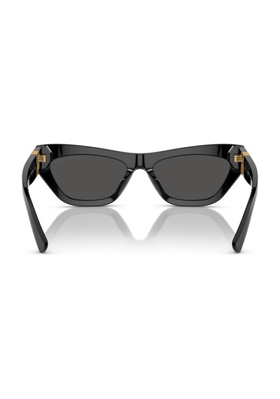 Ralph Lauren Güneş Gözlüğü Rl8218u 55 500187