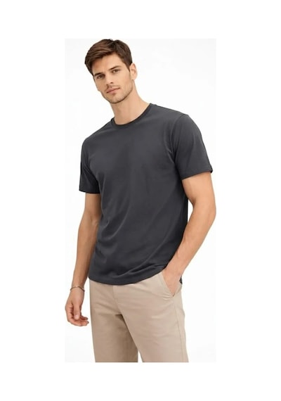 Efnaz Style Erkek Bisiklet Yaka Tişört Regular Kalıp Basic Pamuklu Günlük Kullanım T-shirt - Füme