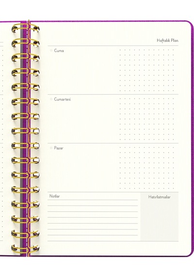 Melimelek Planner Pembe Bez Ciltli - Ceyda Düvenci Diğer