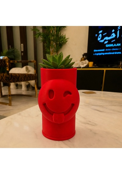 3d Baskı Emoji Planter - Göz Kırpan Yüzlü Sukulent Saksısı-kırmızı