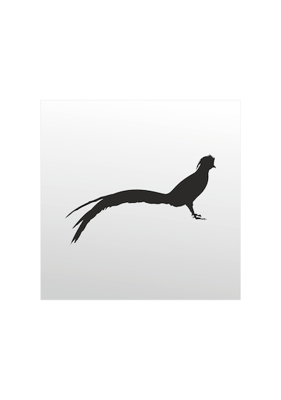 Folyo Sticker Anka Kuşu 50cm Uzunluk Siyah