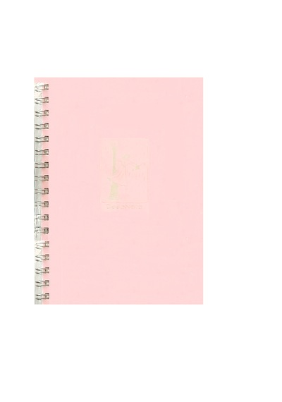 Özkan Deep Note 17x24 Sp. Düz Defter 100yap. P.pembe