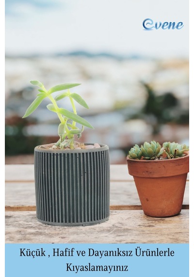 Mini Çiçek Saksı Küçük Sukulent Siyah Kaktüs Saksısı 3'lü Set Düz İnce Çizgili Model
