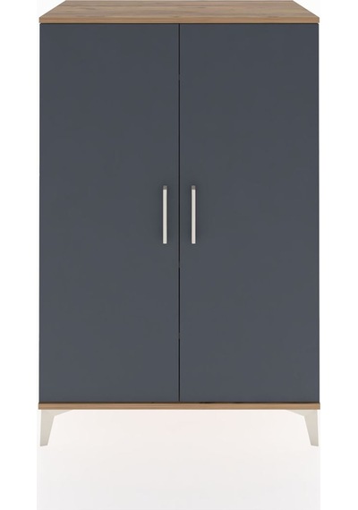 Hyperion Dolap 2 Raflı 2 Kapaklı Tek Askılı 88x44x134 Çam-ant... Çam