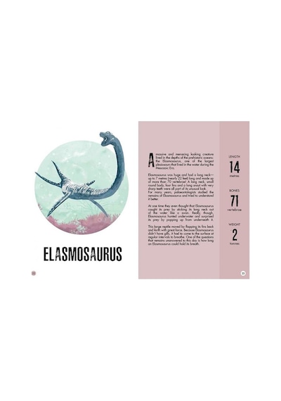 Sassi 3d Stegosaurus - Book And 3d Model
