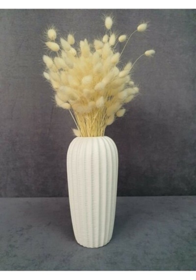 Serada Decor Plant Kuru Çiçek Pamuk Otu Demeti 35-40 Cm Beyaz