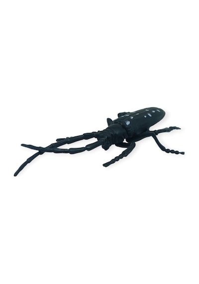 Böcek Figürleri - Gerçekçi Figür - Turunçgil Uzun Boynuzlu Böceği 18 Cm Hayvan