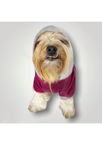 Kemique Burgundy Gray Kapşonlu Sweatshirt Köpek Kıyafeti Kemique Burgundy Gray Kapşonlu Sweatshirt Köpek Kıyafeti