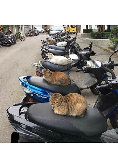 Pcx Nmax Sym Vb Model Scooter Universal Motosiklet Sele Kılıfı