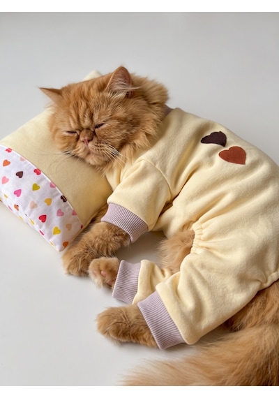 Winter Hearts Kedi Uyku Seti Penye Kedi Tulum Ve Mini Yastık Takımı Pamuklu Tüy Dökülmesini Azaltır