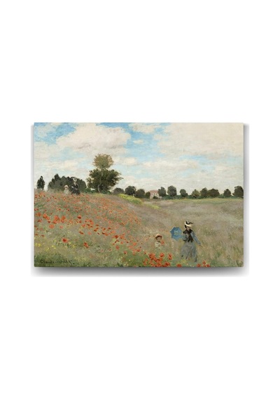 Poppy Tablosu 45 X 30