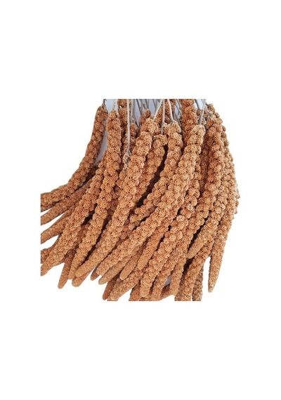 Bezos Kızıl Dal Darı 15 Kg Koli Ob