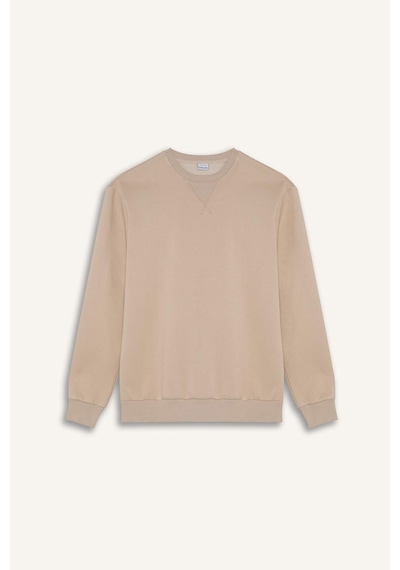 DeFacto Regular Fit Bisiklet Yaka Kalın Basic Düz Sweatshirt T3777AZ25SPBG735