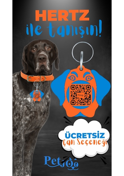 Petjoo 26.Hertz Mavi-Turuncu Qr'lı Köpek Künyesi
