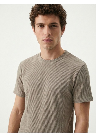 Regular Fit Erkek Tshirt K.kol Vizon
