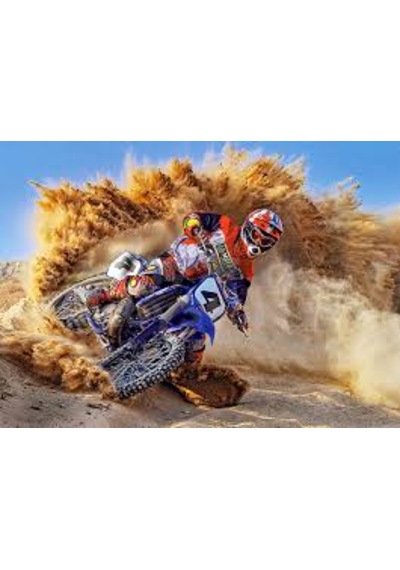 Castorland 260 Parça Fast And Dust Puzzle