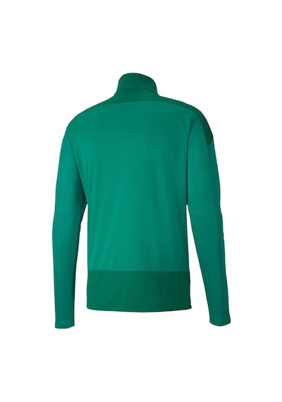 Puma 656476 Teamgoal 23 Training 1 4 Zıp Top Yeşil Yeşil