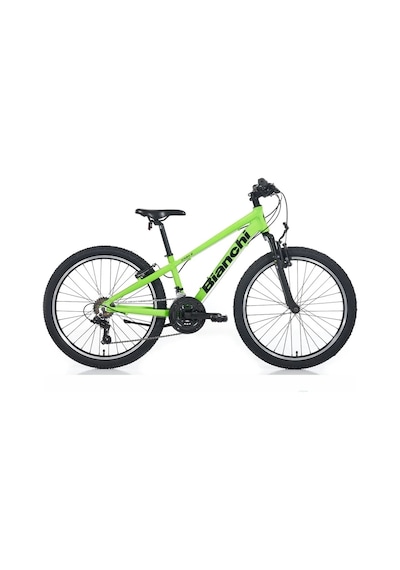 Bıanchı Xr24.2 Erkek Dağ Bisikleti 310h V 24 Jant 21 Vites Yeşil Siyah Çok Renkli