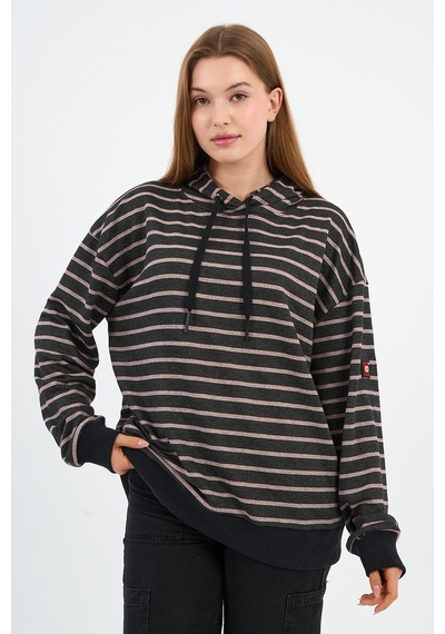 Alexander Gardi Çizgili Kapüşonlu Sweatshirt Unx-00242-wn Kahverengi